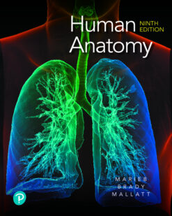 Test Bank For Human Anatomy, 9th Edition Elaine N. Marieb