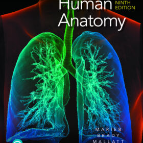 Test Bank For Human Anatomy, 9th Edition Elaine N. Marieb