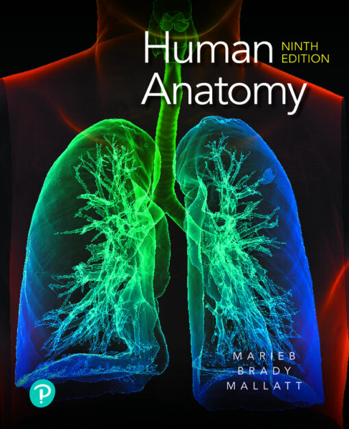 Test Bank For Human Anatomy, 9th Edition Elaine N. Marieb