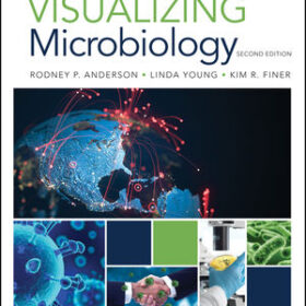 Visualizing Microbiology