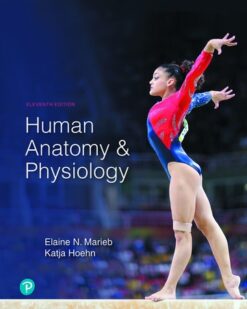 Human Anatomy & Physiology