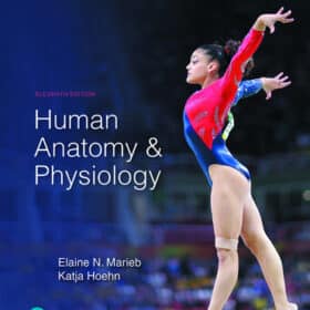 Human Anatomy & Physiology