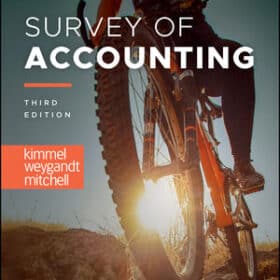 survey of accounting