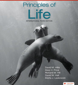 principles of life digital update