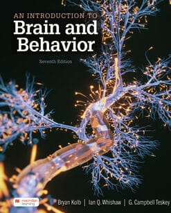 an introduction to brain and behavior