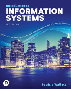 introduction to information systems